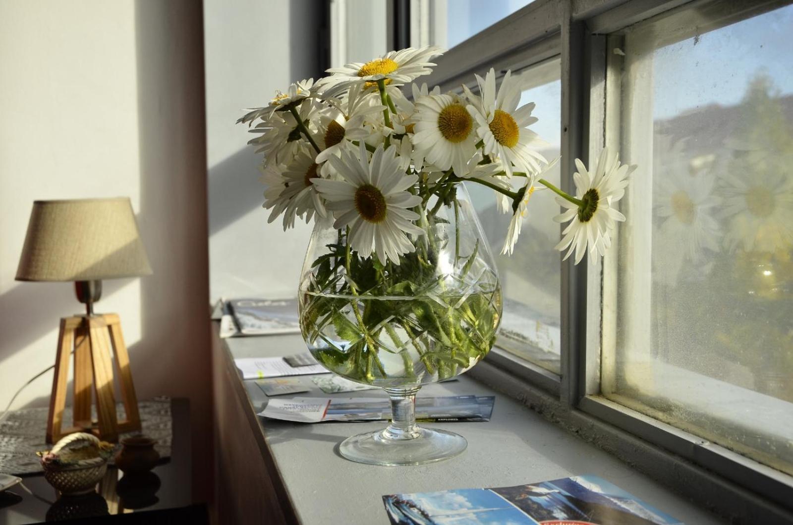 Horizonte Apartment *
